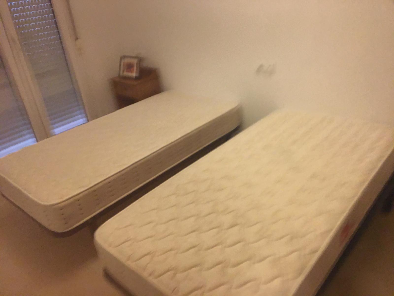 50018_WhatsApp Image 2024-11-28 at 17.23.21.jpeg